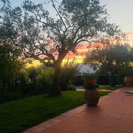 Mandetta Bed & Breakfast