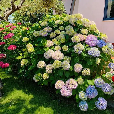 Bed & Breakfast Mandetta